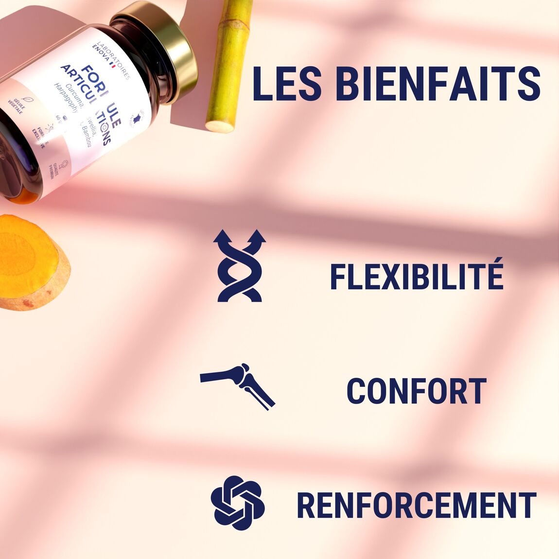 Douleurs articulaires 247