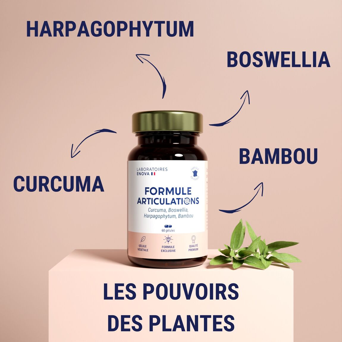 Douleurs articulaires 247