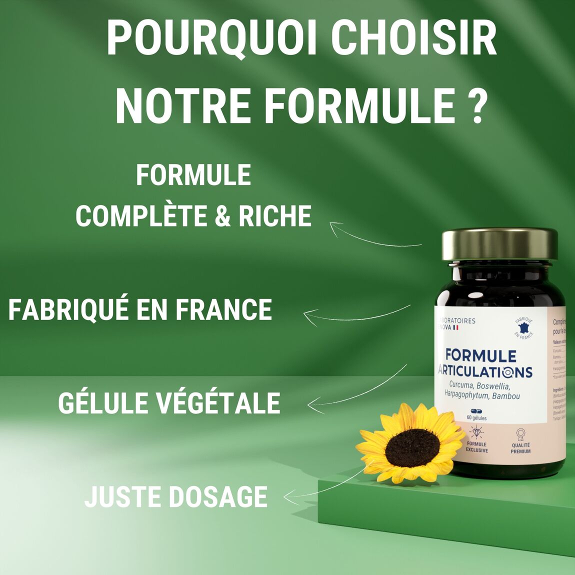 Douleurs articulaires 247