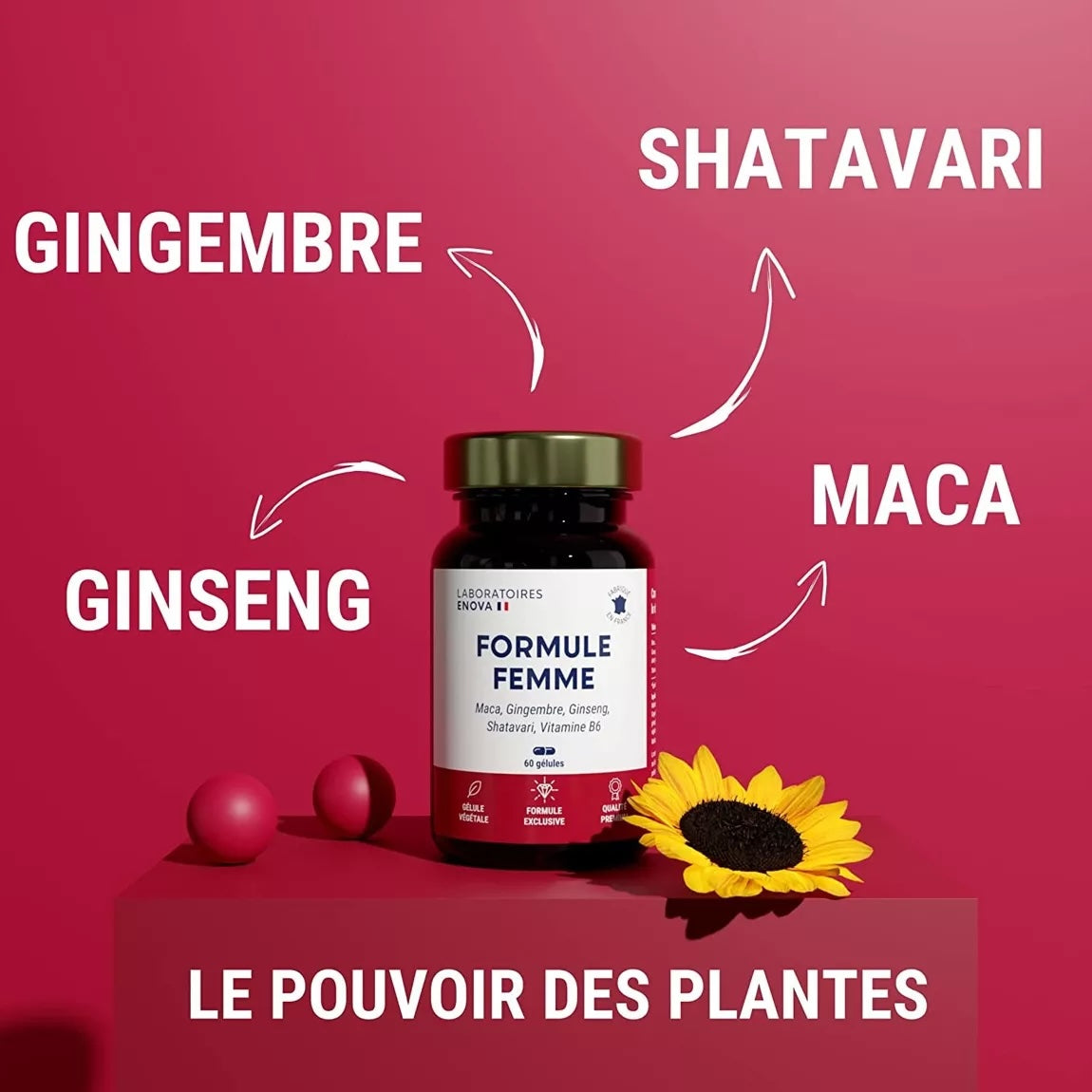 Collagène Marin Naticol SublimSkin et Vitalité Féminine 280