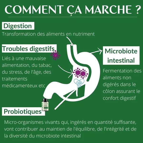 Probiotique Flore intestinale 265