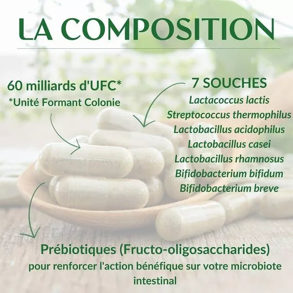 Probiotique Flore intestinale 265