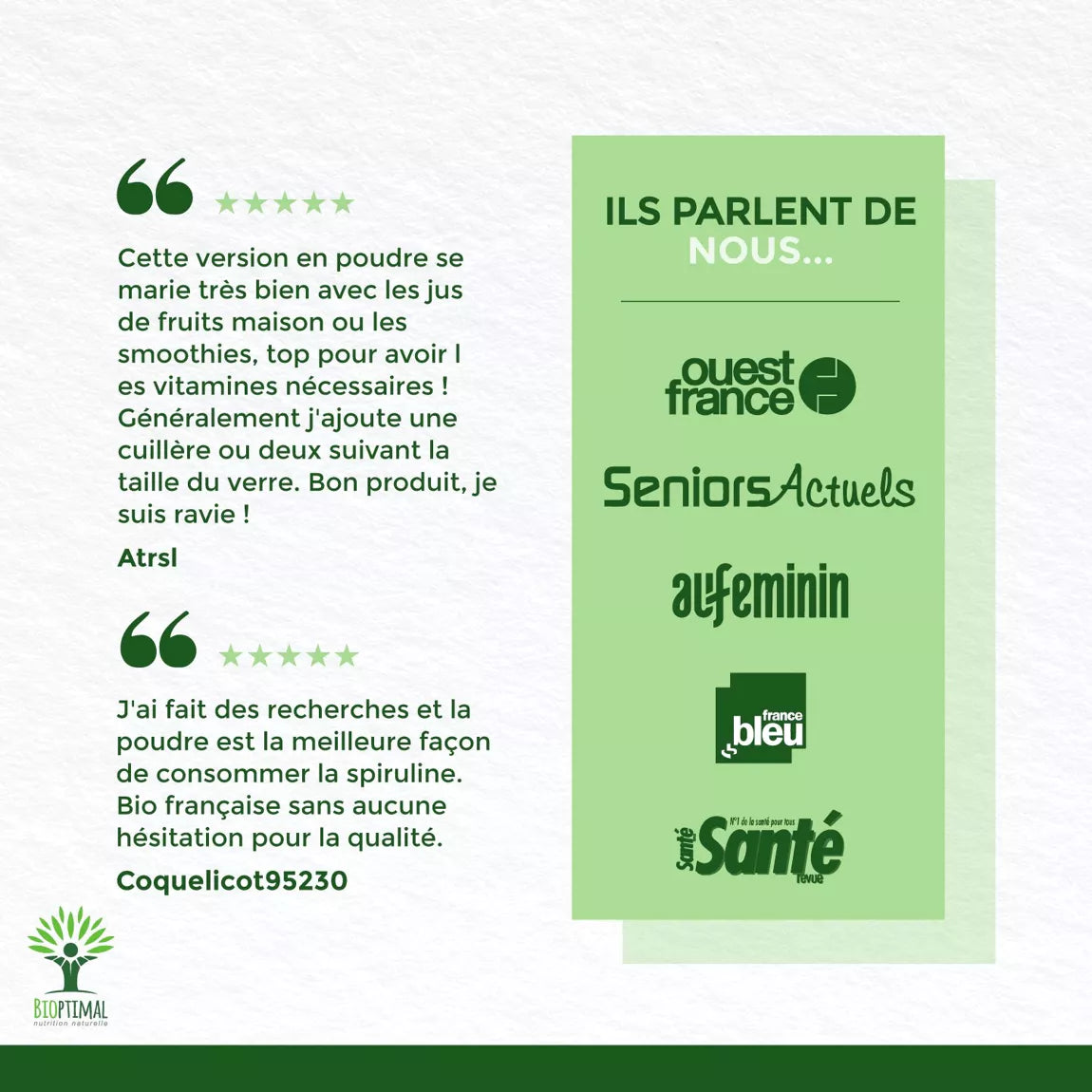 Spiruline Bio en poudre 290