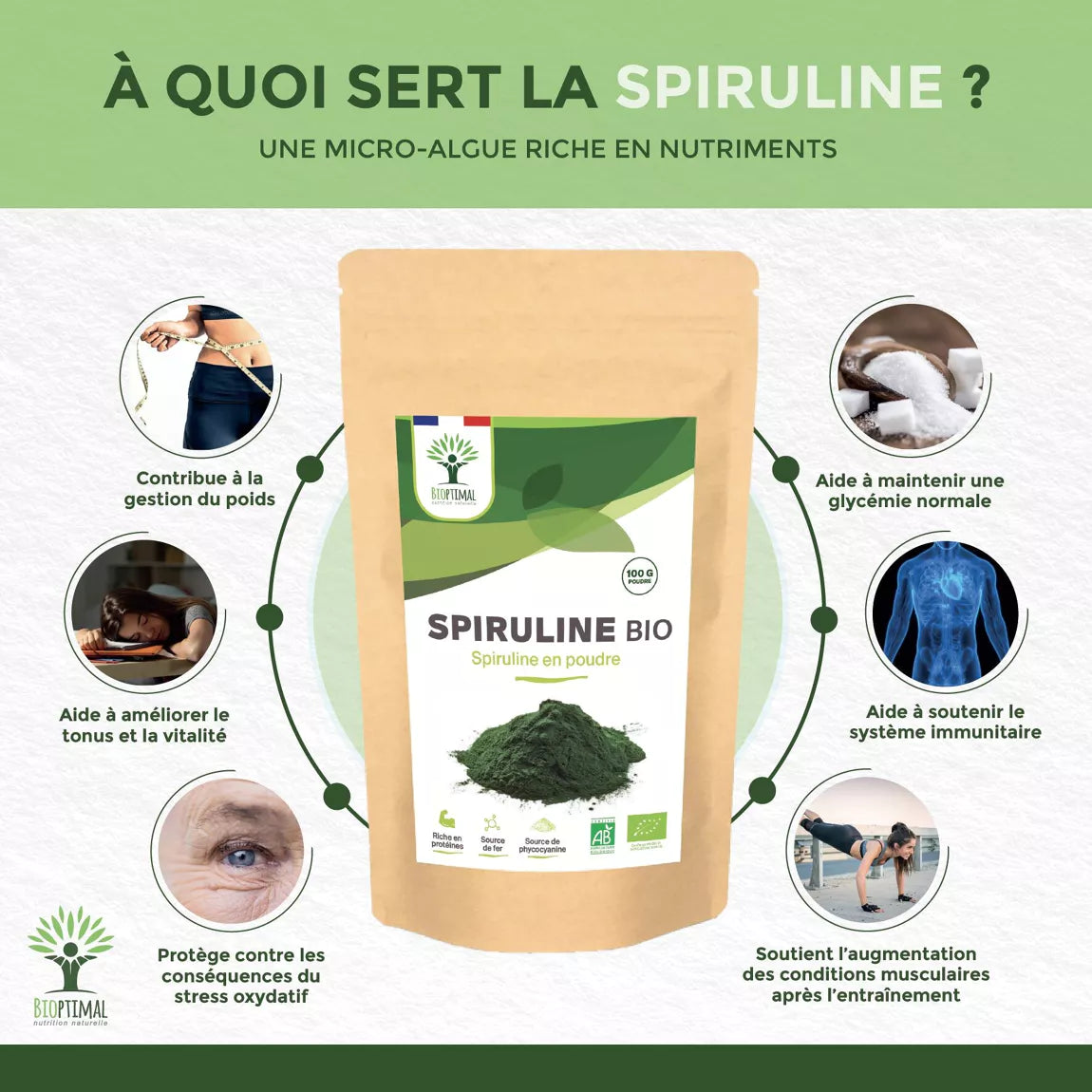 Spiruline Bio en poudre 290