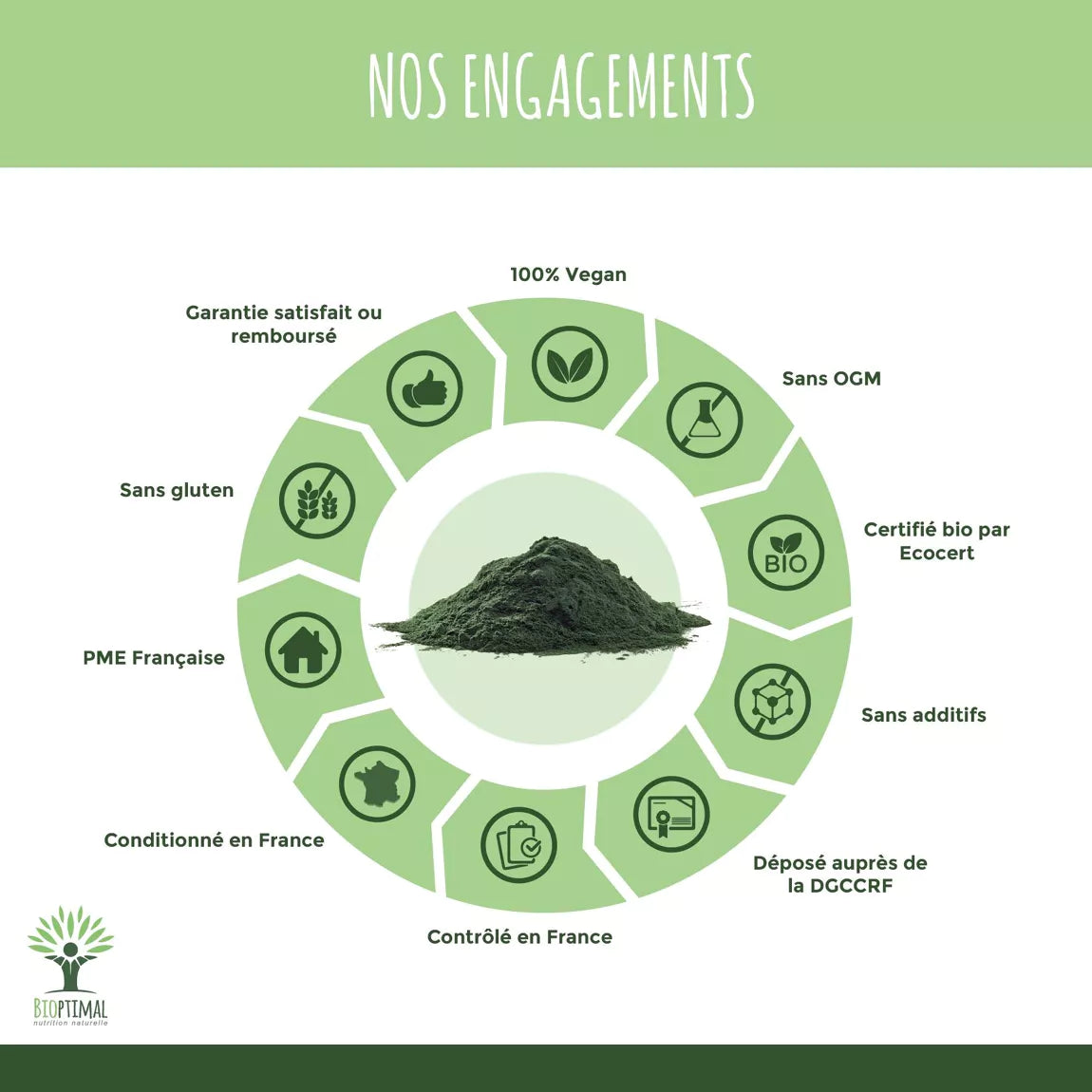 Spiruline Bio en poudre 290