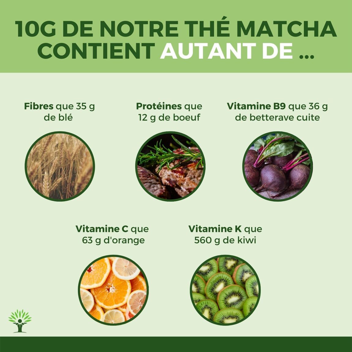 Thé matcha en poudre 252