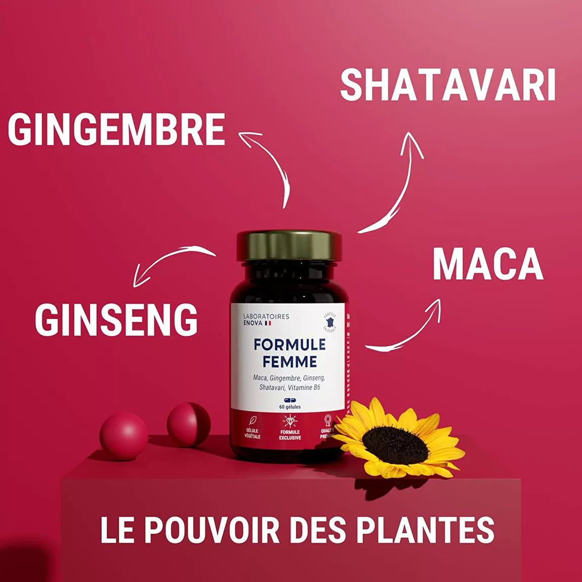Vitalité Féminine 287