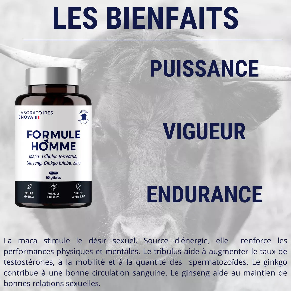 Energie et Vitalité