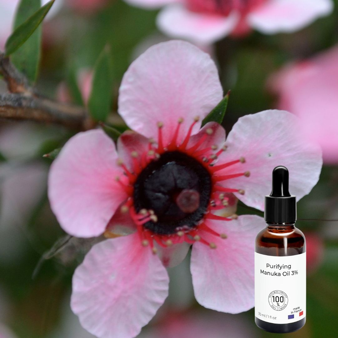 Huile de Manuka 271