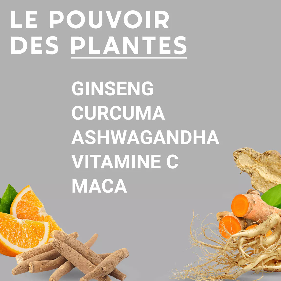 Nutrition sportive